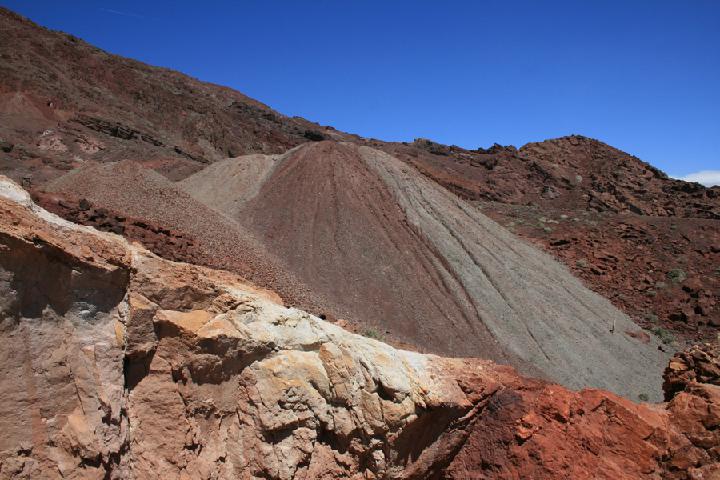 2- Calico 0012.JPG
